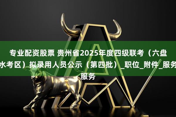 专业配资股票 贵州省2025年度四级联考（六盘水考区）拟录用人员公示（第四批）_职位_附件_服务