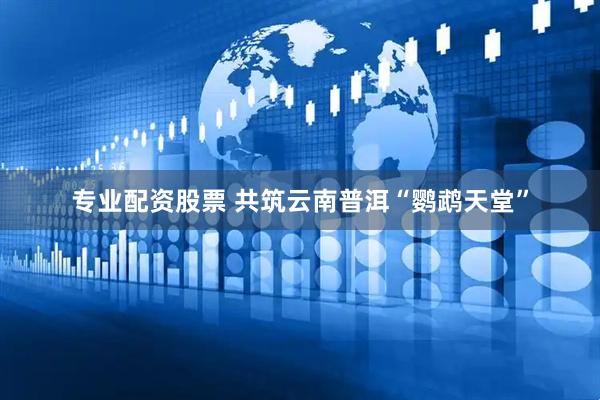 专业配资股票 共筑云南普洱“鹦鹉天堂”
